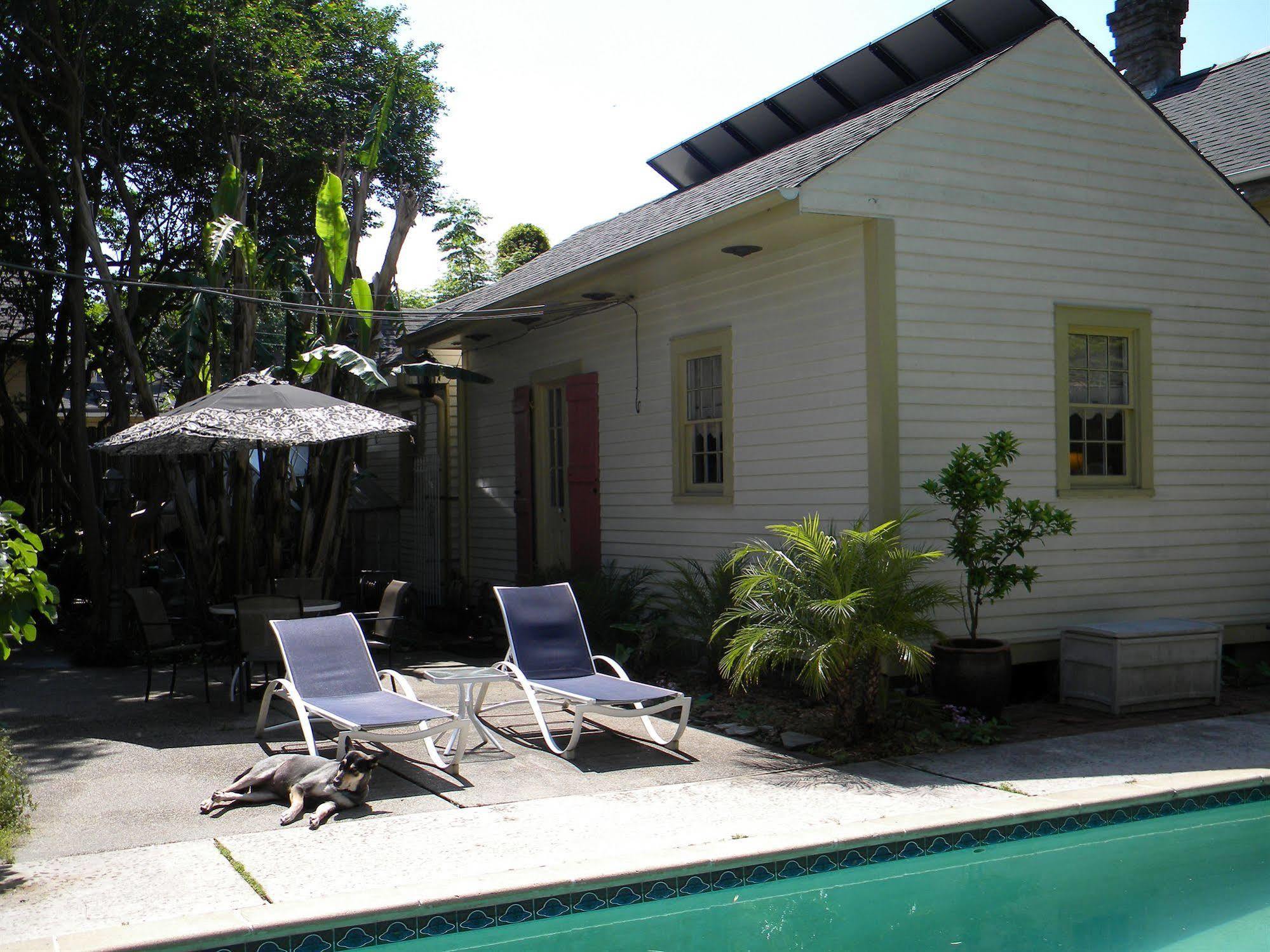 Maison De Macarty Bed and Breakfast New Orleans Buitenkant foto